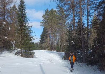 A person in orange jacket snowshoeing in the winter
